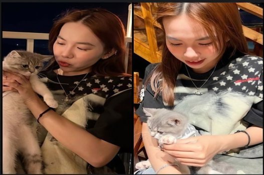phim sex viet nam massage Hàng anh dài như thế mà cứ ấn đầu đòi lút cán